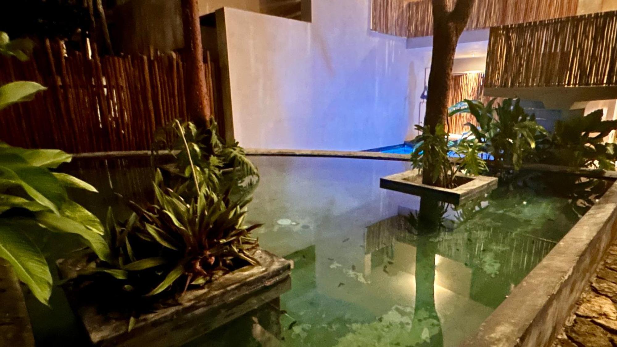 Condohotel Tsonot, En Luum Zama 툴룸 외부 사진